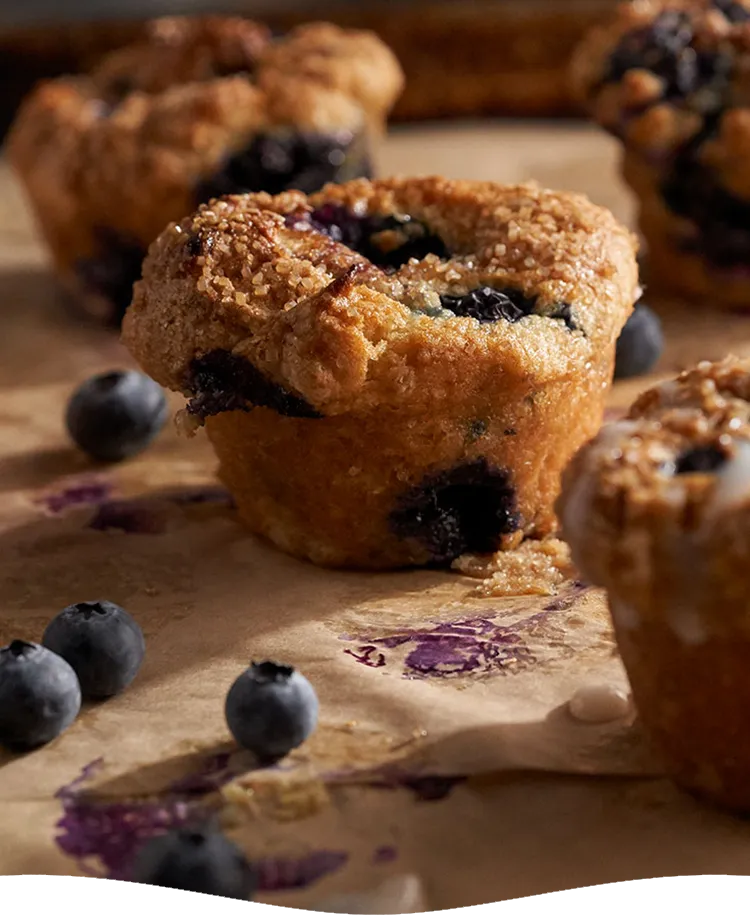 Vegan and Gluten-Free Blueberry Muffins