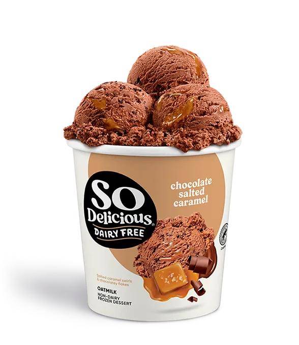 Chocolate Salted Caramel Oatmilk Frozen Dessert