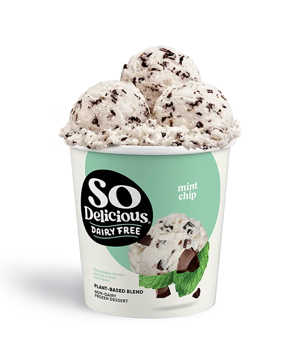 Mint Chip plant-based-blend Frozen Dessert