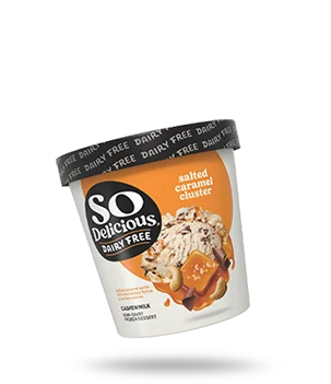 Salted Caramel Cluster Cashewmilk Frozen Dessert