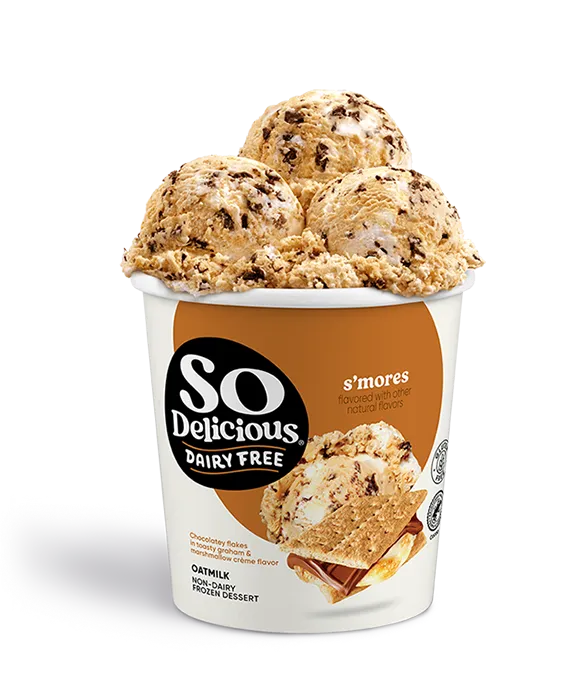S'mores Oatmilk Frozen Dessert