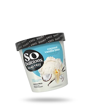 Vanilla Bean Coconutmilk Frozen Dessert